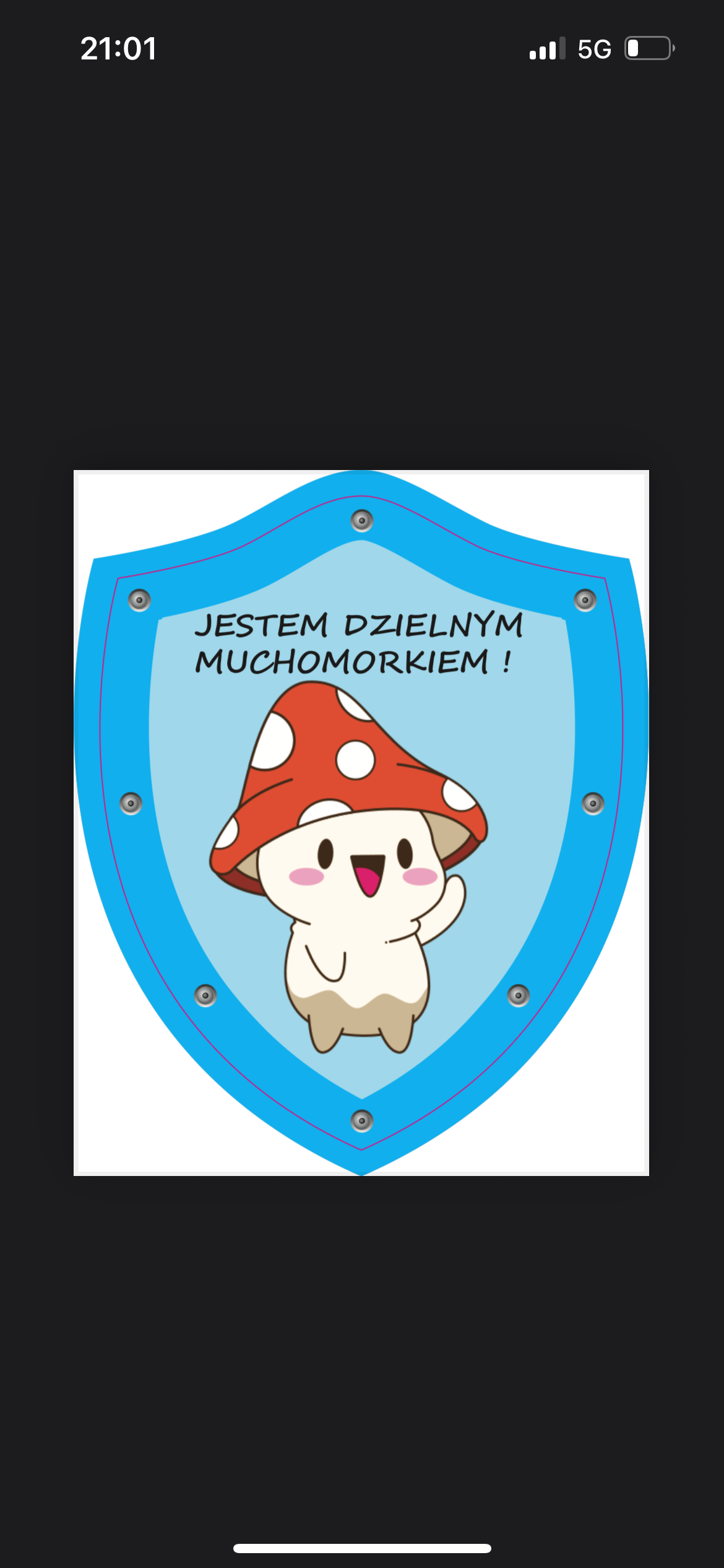 Portfolio item
