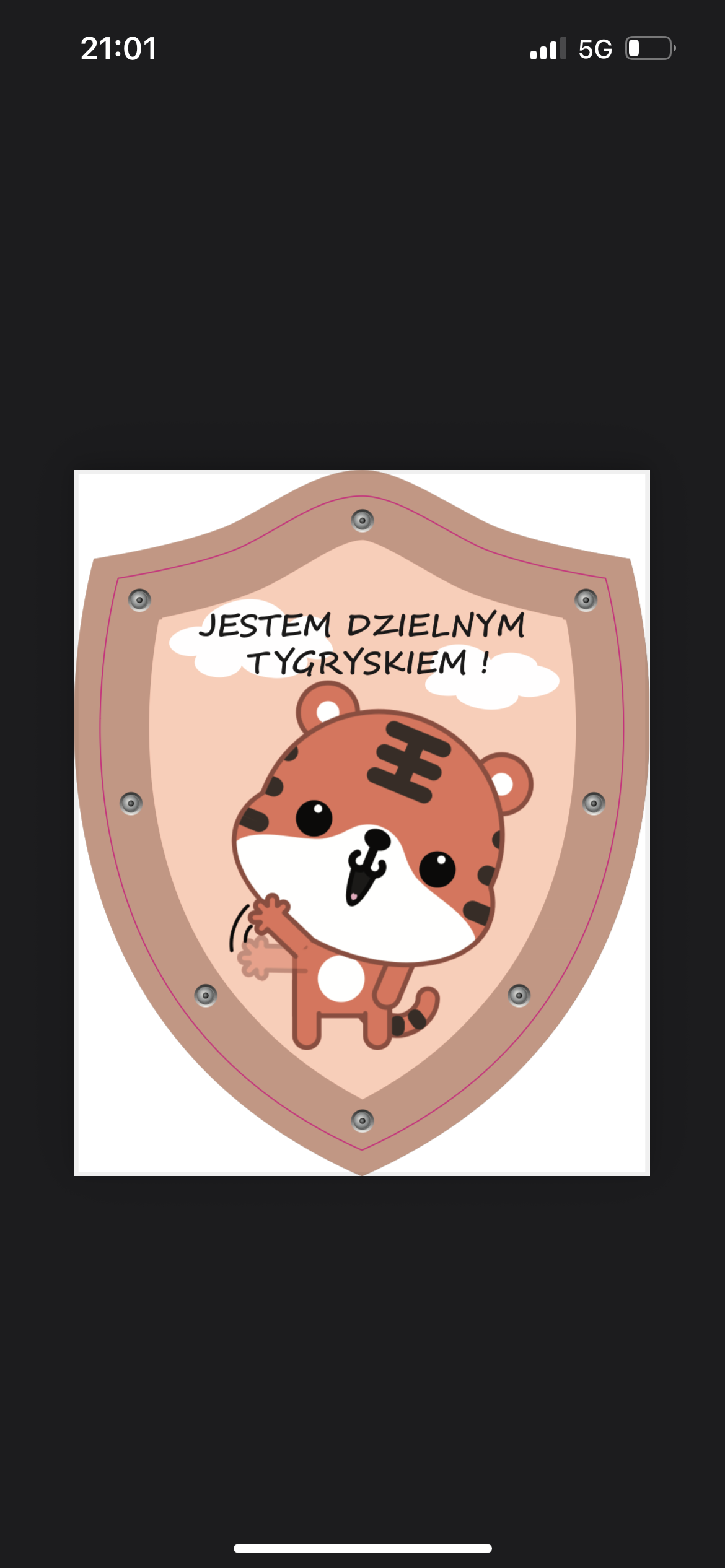 Portfolio item