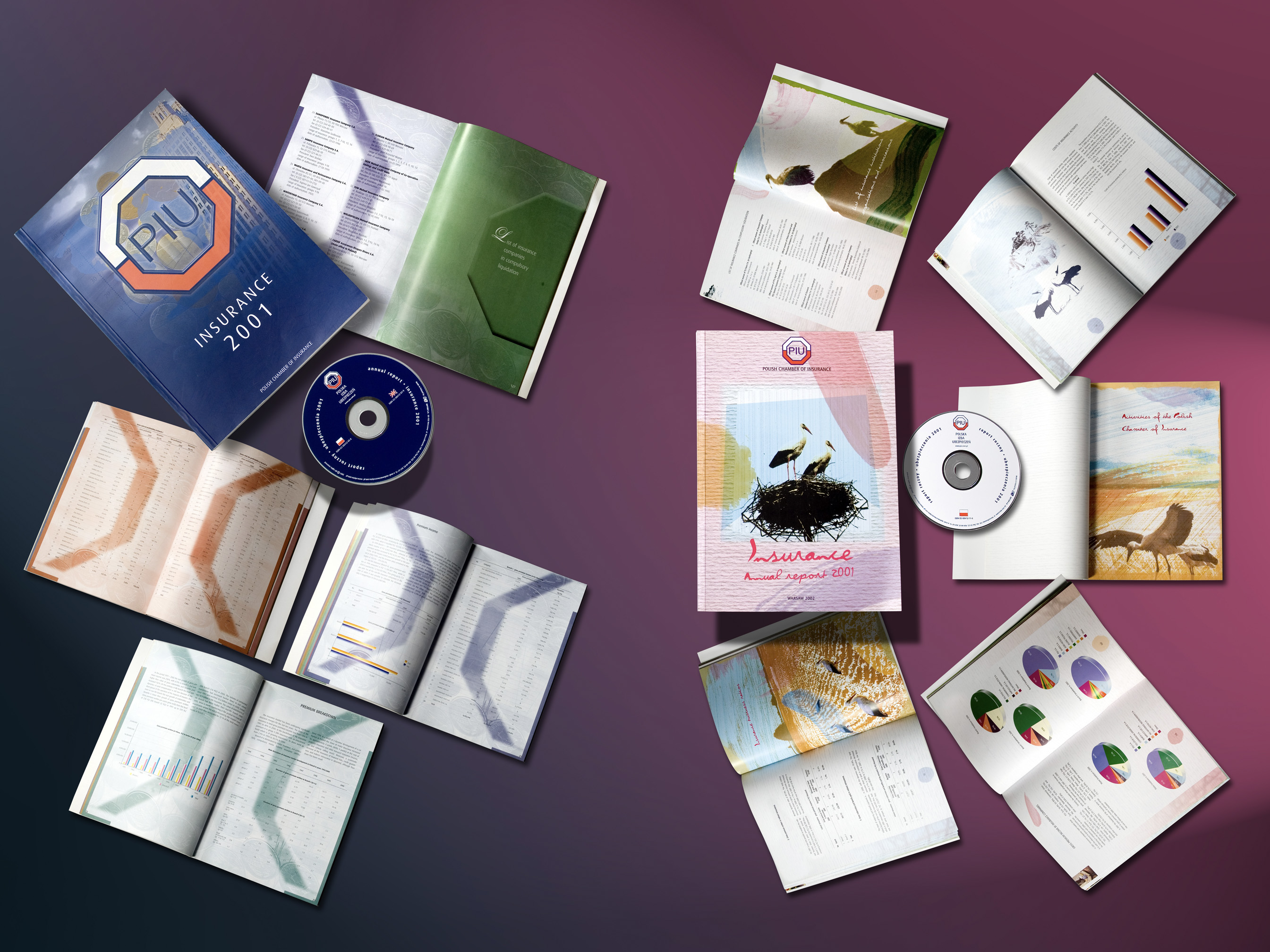 Portfolio item