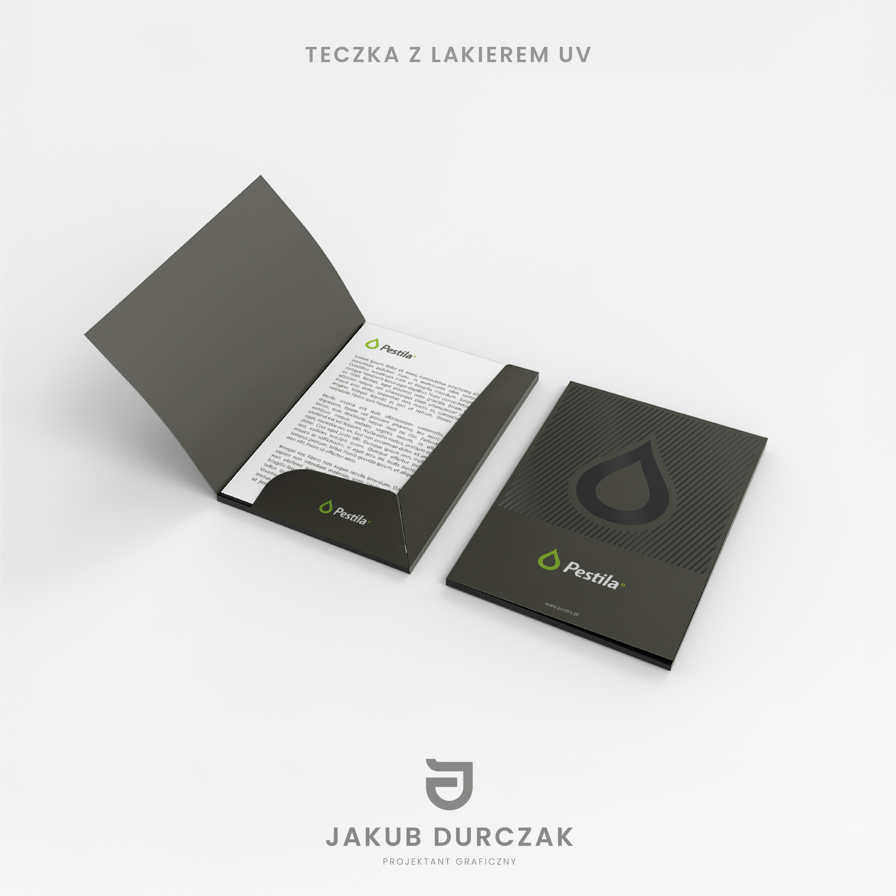 Portfolio item