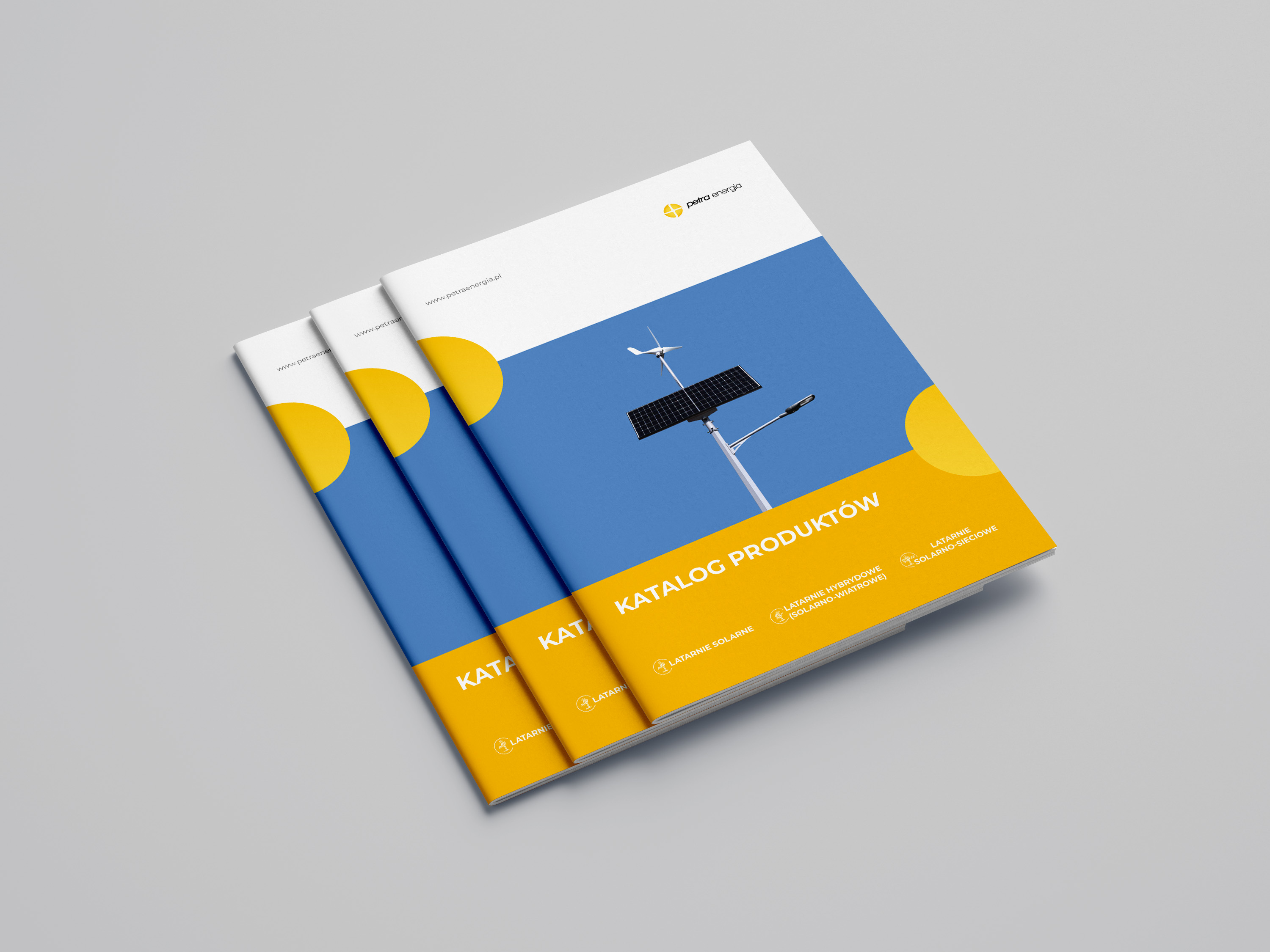Portfolio item
