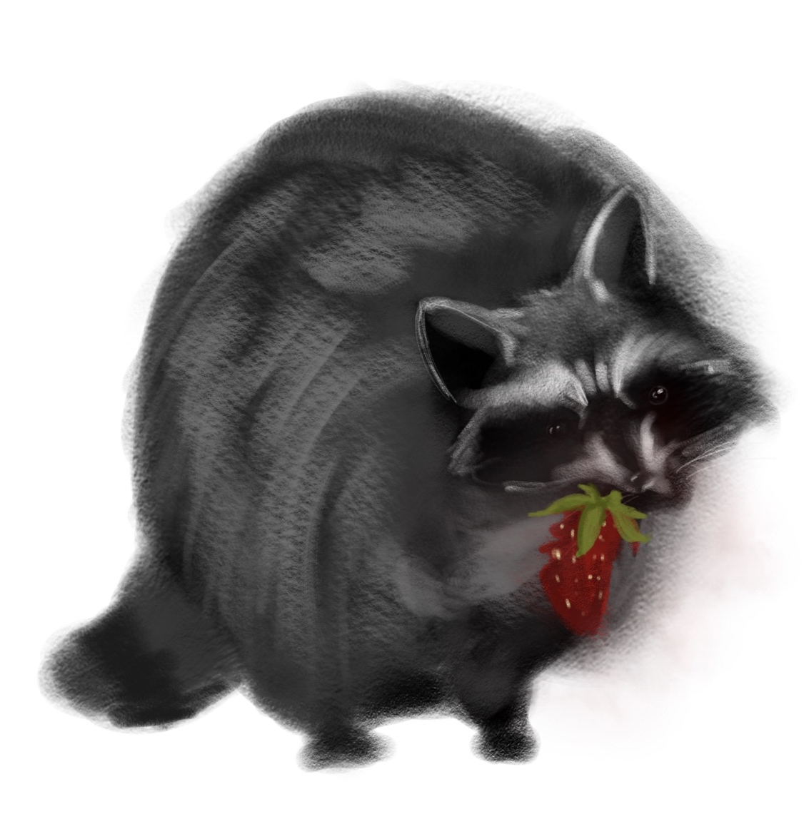 Portfolio item