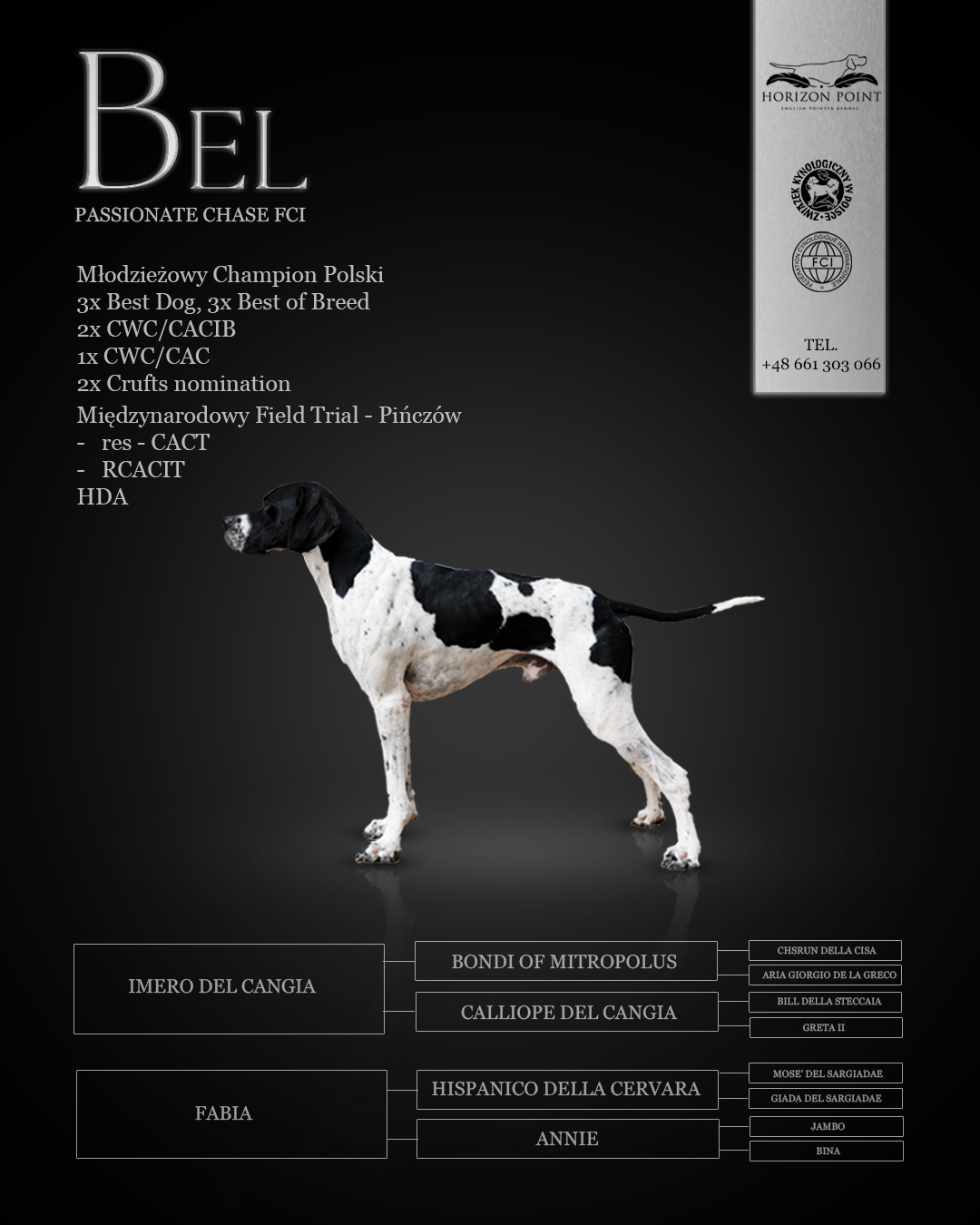 Portfolio item