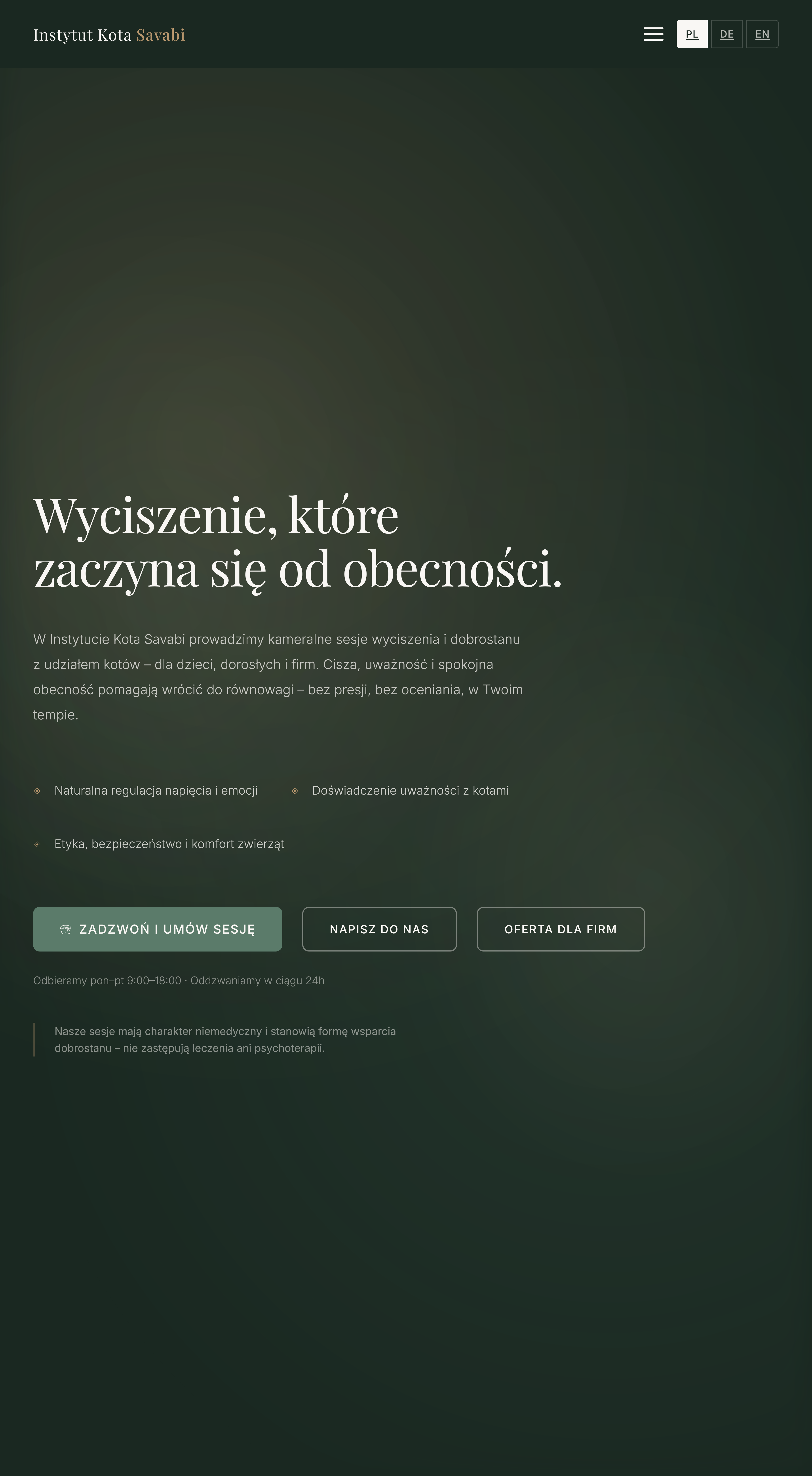 Portfolio item