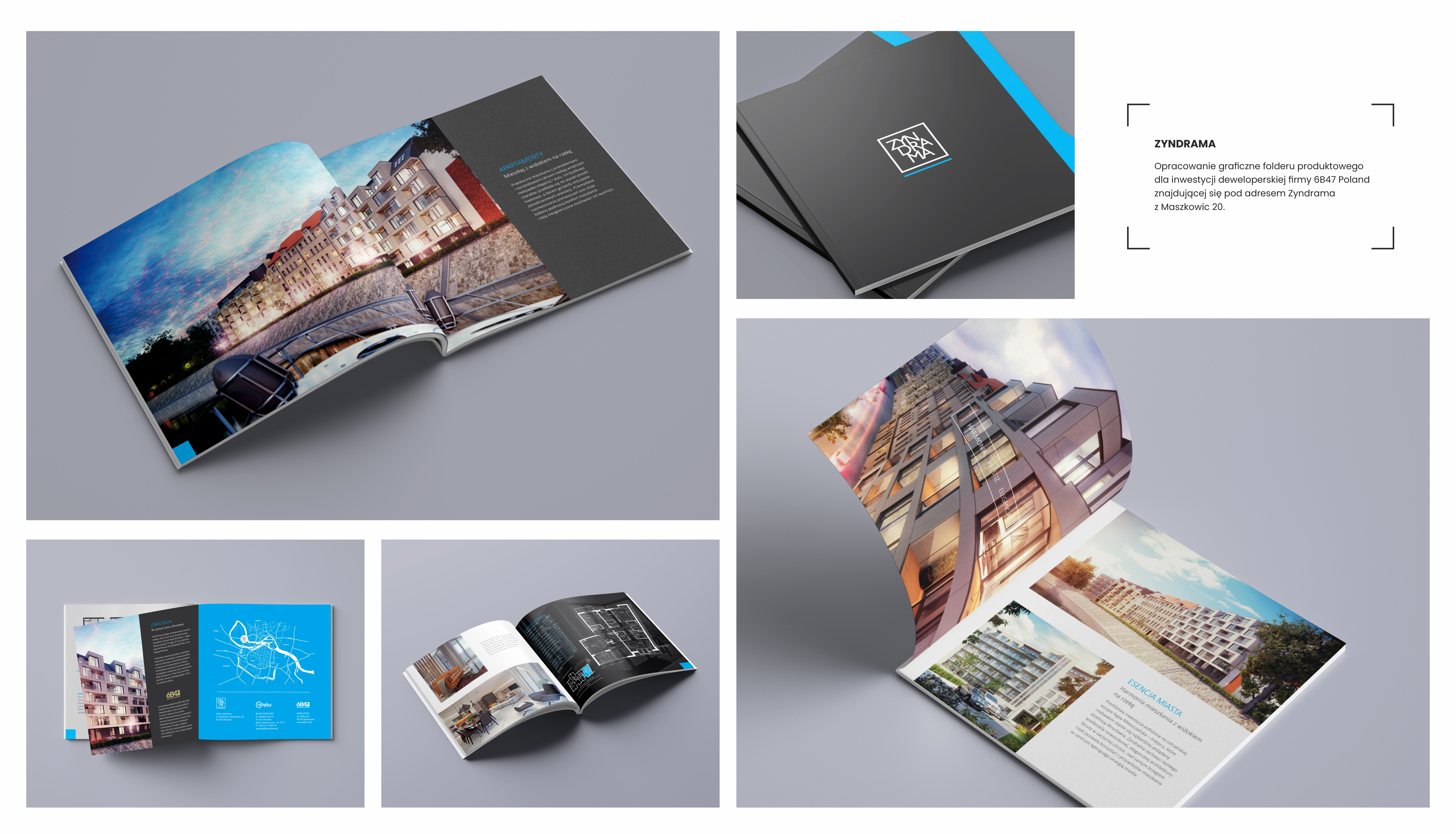 Portfolio item