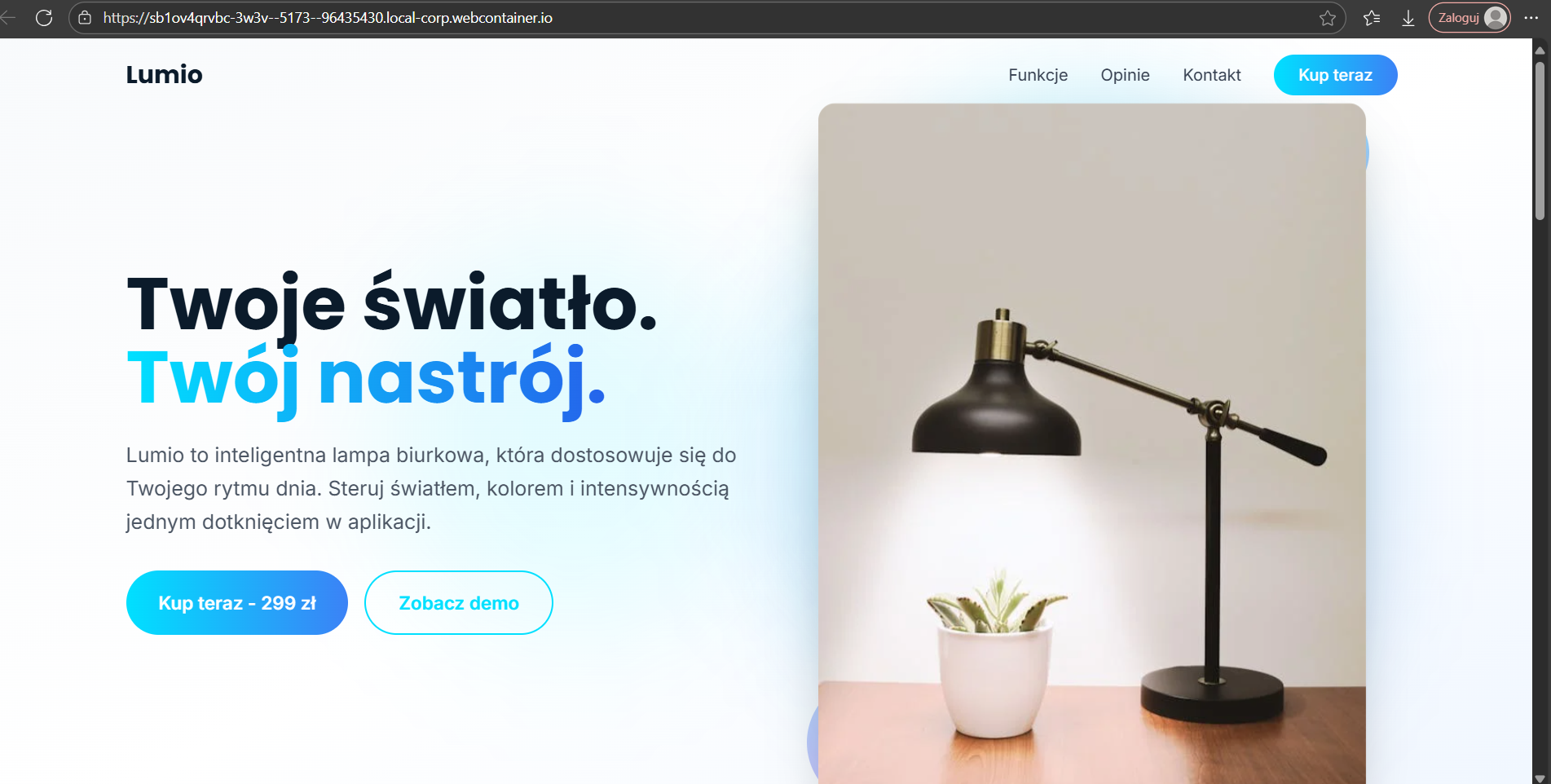 Portfolio item
