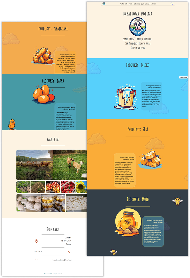 Portfolio item