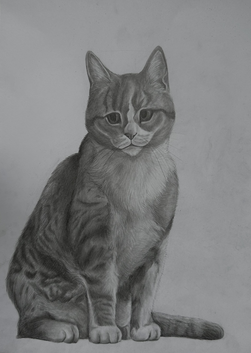 Portfolio item