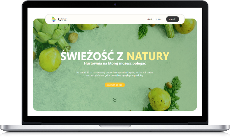 Portfolio item