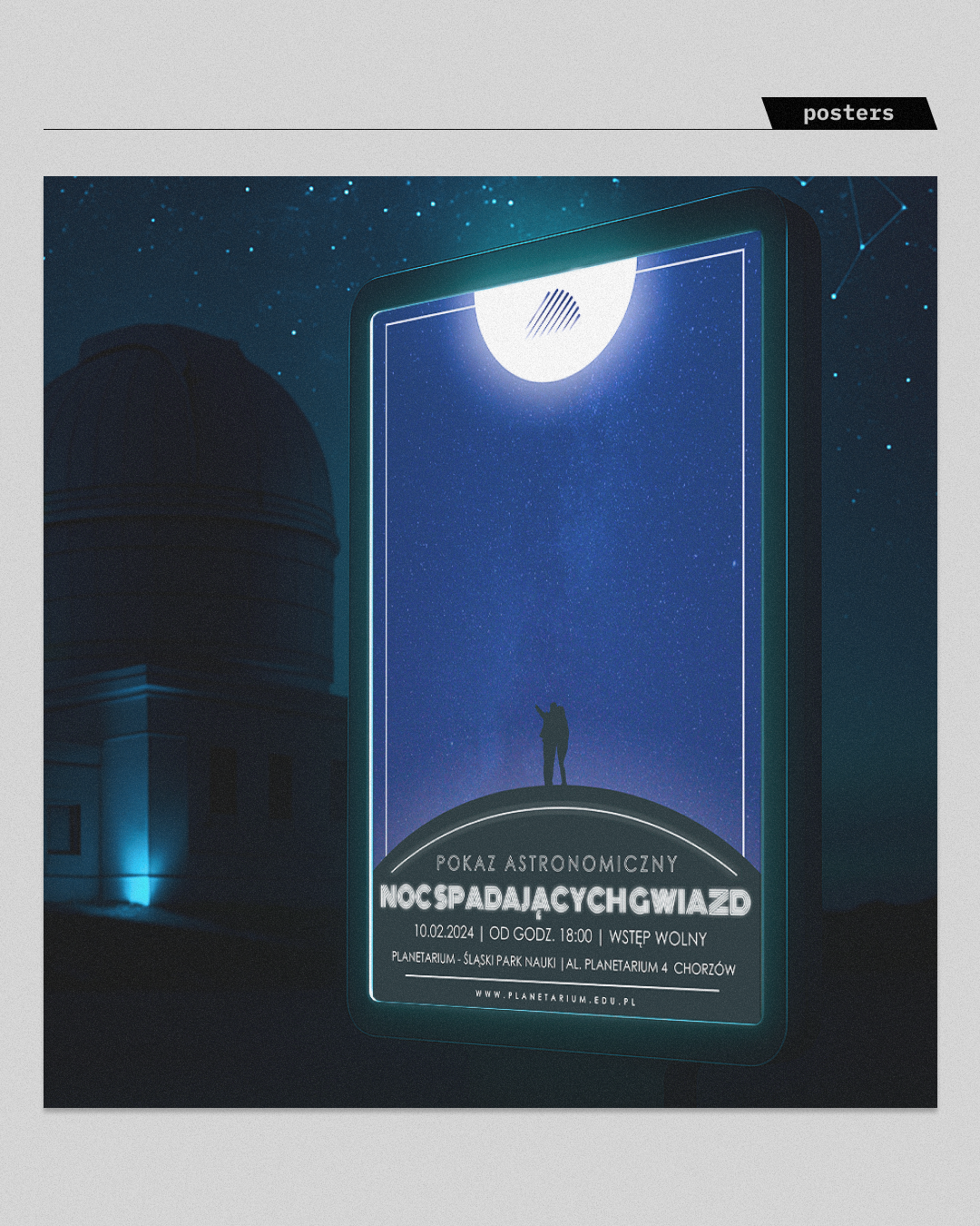 Portfolio item