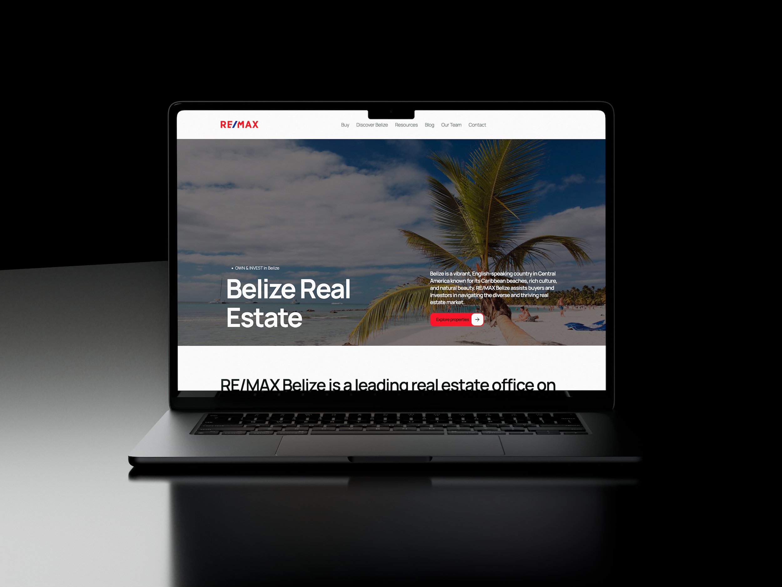Portfolio item