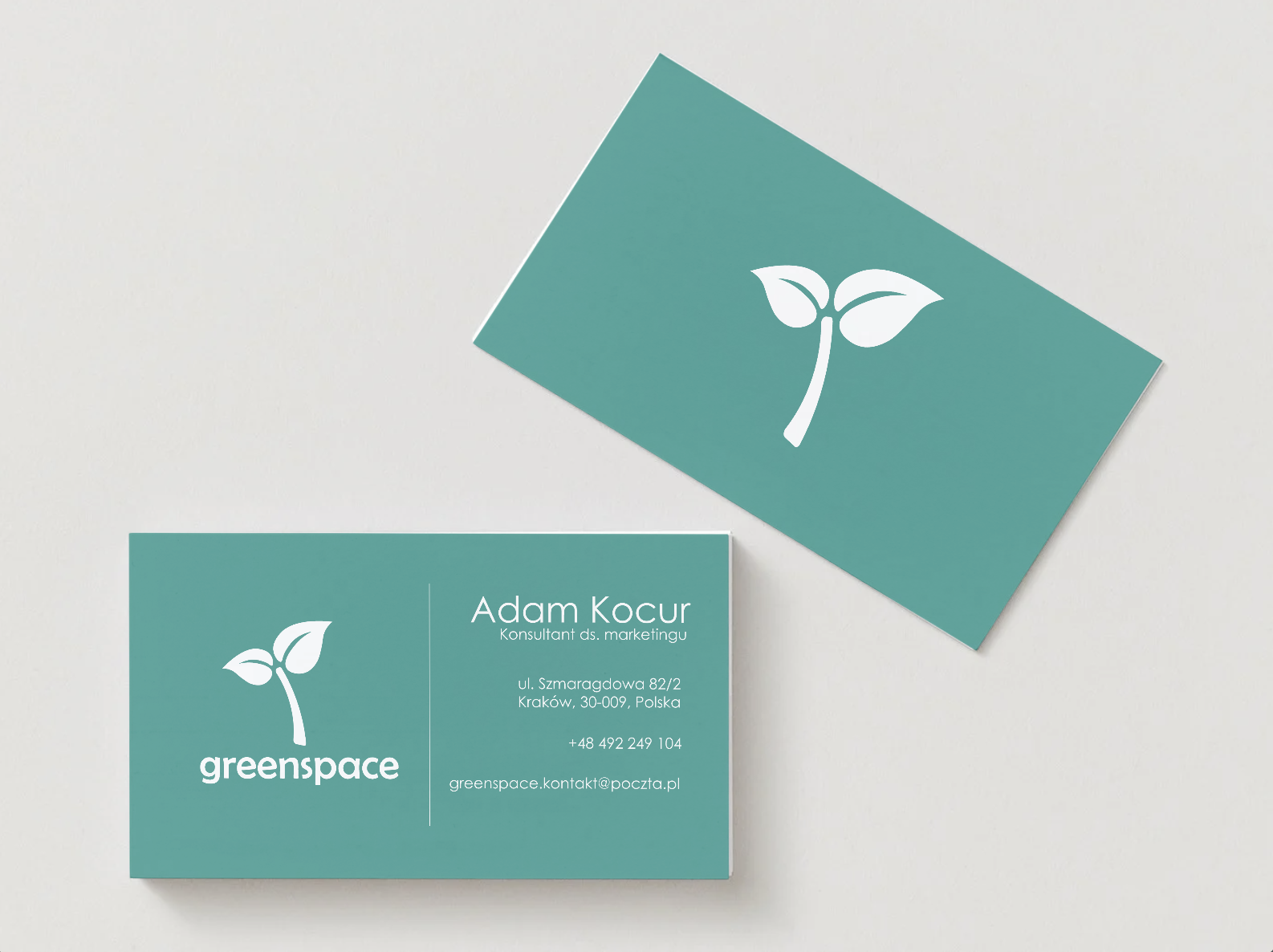 Portfolio item